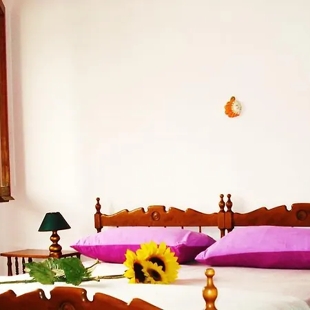 Guest house Casa Oreste Leone *